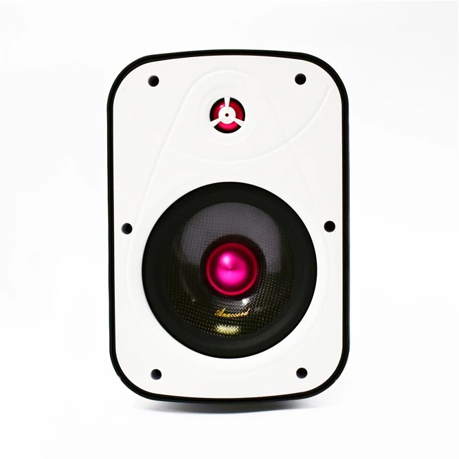 Anaccord雅那歌音響 DC-01-B6 6inch RUBY  IPX66 waterproof desktop wall mount speakers 1pair, , large