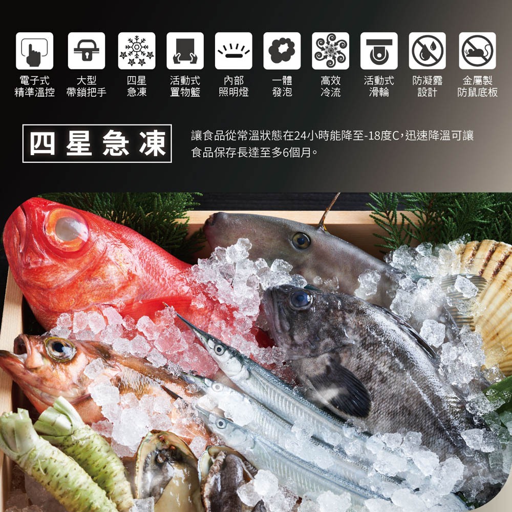 HERAN 禾聯 300L 變頻臥式冷凍櫃 HFZ-30L2V, , large