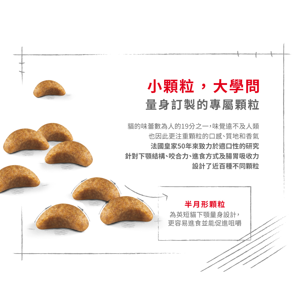 【Royal Canin法國皇家】英國短毛幼貓BSK38, , large