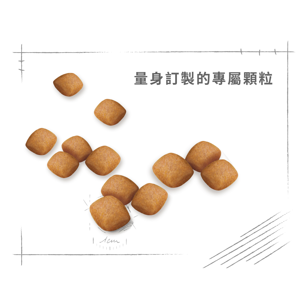 【Royal Canin法國皇家】博美成犬PA, , large