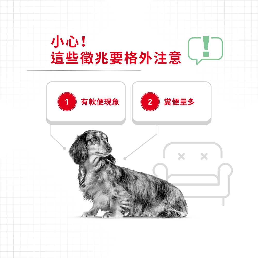 【Royal Canin法國皇家】腸胃保健小型成犬DGMN】腸胃保健小型成犬DGMN, , large