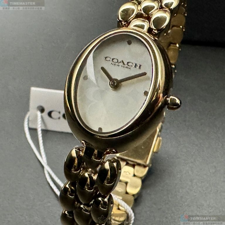 [TIMEMASTER] COACH watch, 22mm28mm, CH00262, , large