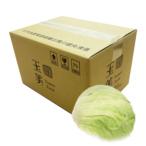 Iceberg Lettuce, , large