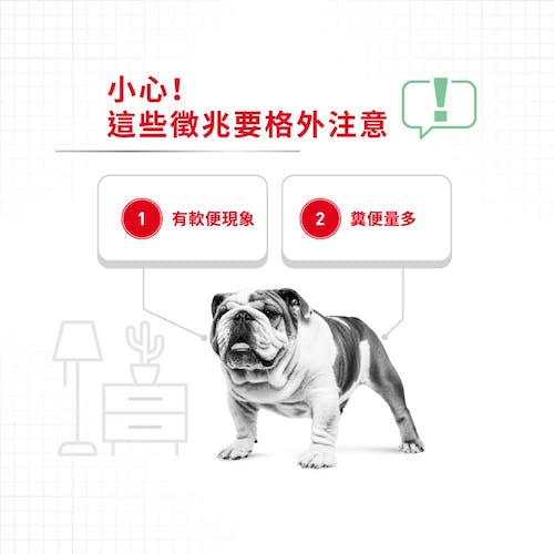 【拉拉寵物小舖】法國皇家 狗主食餐包 DGW 腸胃保健犬主食濕糧 狗主食濕糧, , large