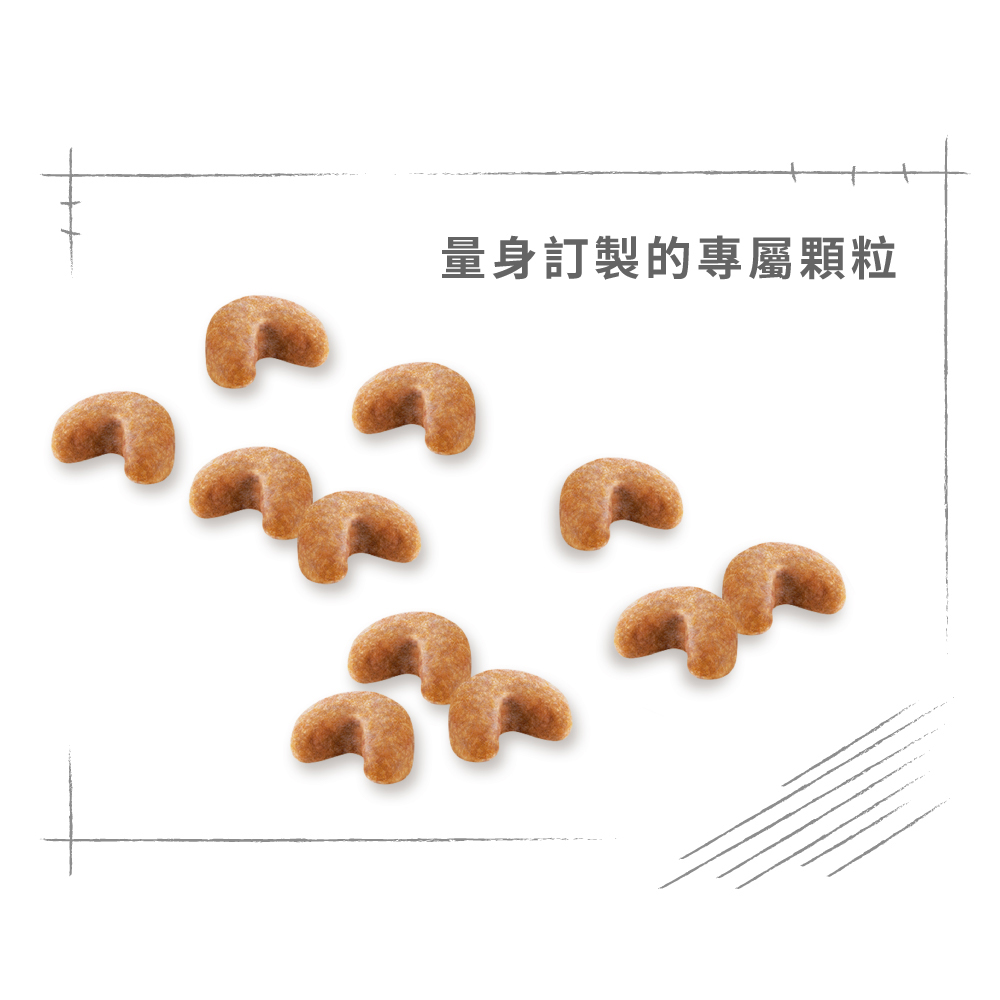【Royal Canin法國皇家】法國鬥牛幼犬FBDP, , large