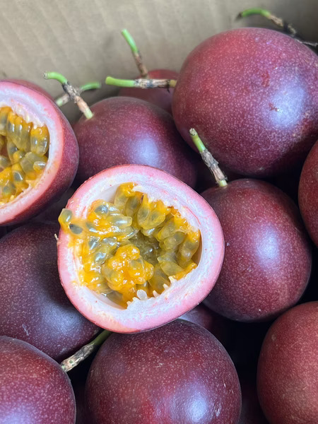 Passion Fruit, , large