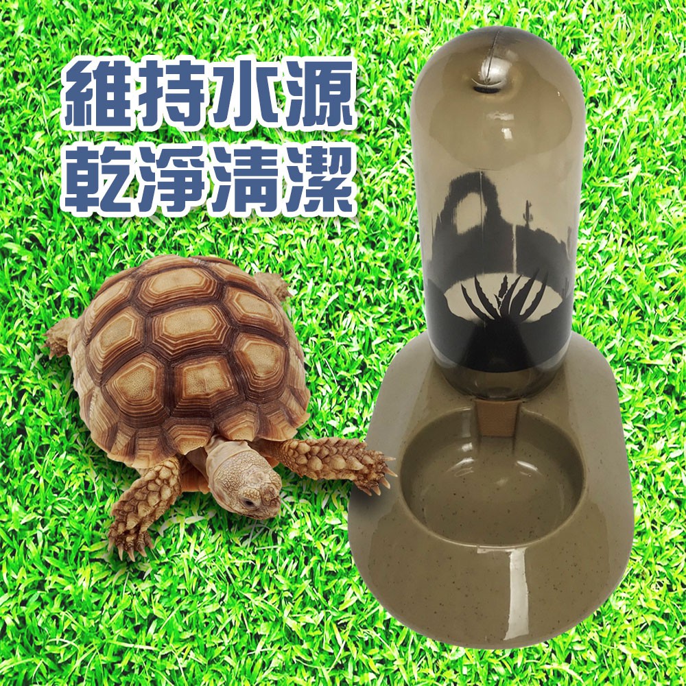 GS MALL 台灣製造 LIXIT 兩棲爬蟲飲水器 480cc 兩棲飲水器 爬蟲飲水器 飲水器 餵食 飲水 寵物飲水器, , large