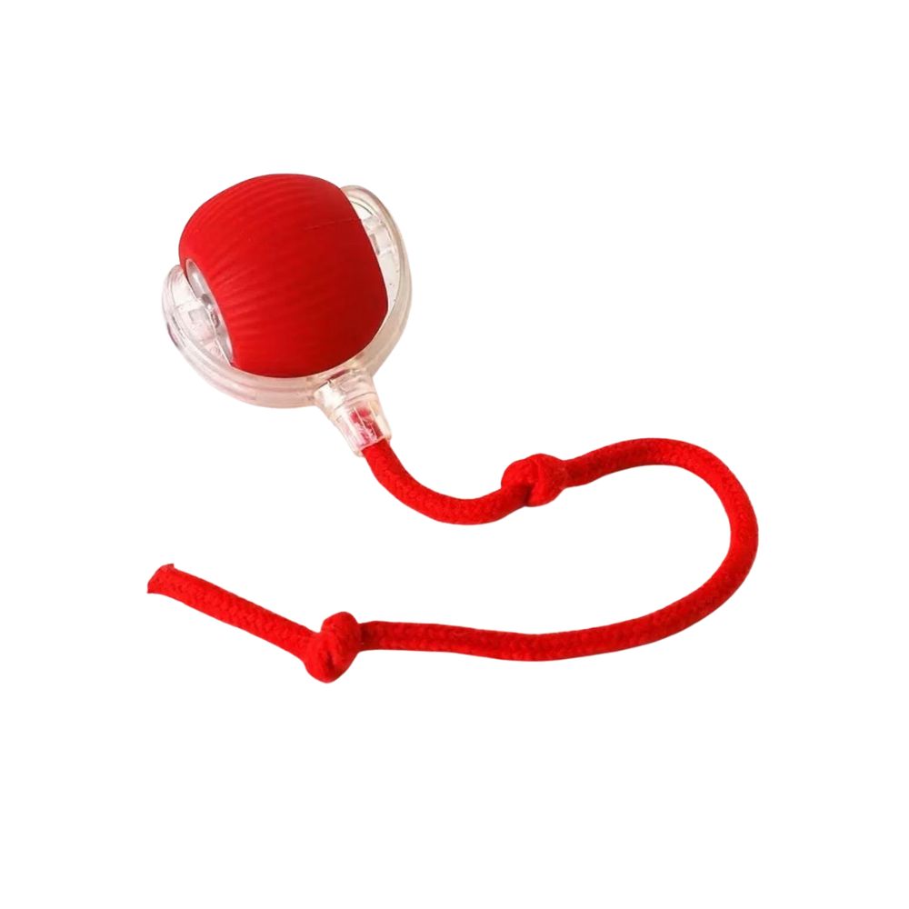 Pet toy ball, , large