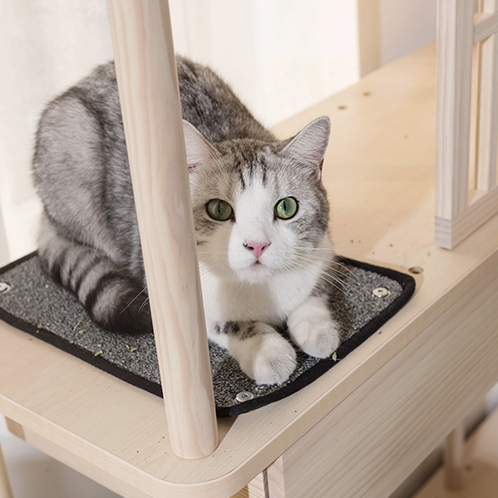 【paipaipets】Cat Scratching Cloth (2/set)(For Cat Tree), , large
