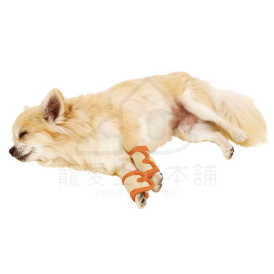 【寵愛生活本舖】PETIO寵物關節輔助支撐帶（小號）四入 派地奧, , large