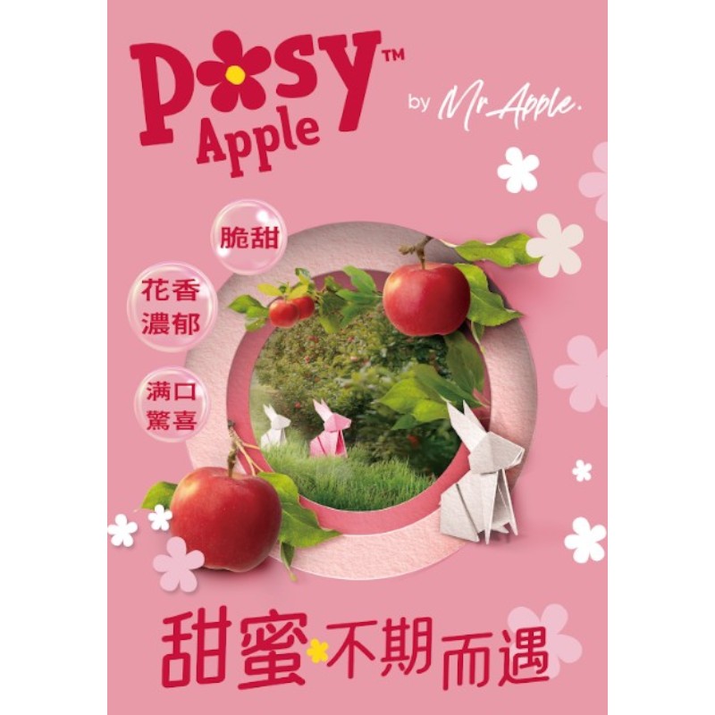 Bagged imported Apple, , large