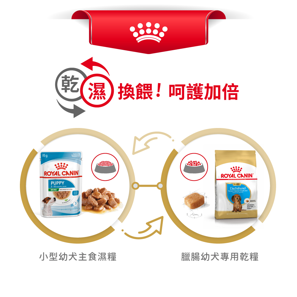 【Royal Canin法國皇家】臘腸幼犬DSP, , large