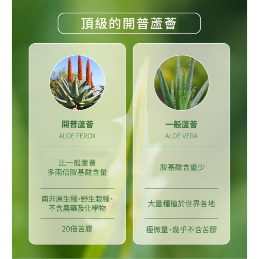 aloe unique 優尼客 開普蘆薈曬後修復凝膠 125ml 舒緩 修復 身體適用 保濕, , large