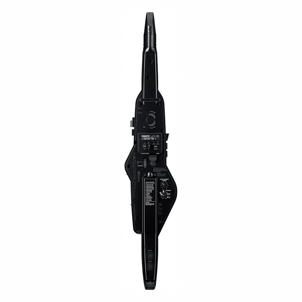 Roland AE-30 Aerophone Pro 數位吹管【敦煌樂器】, , large