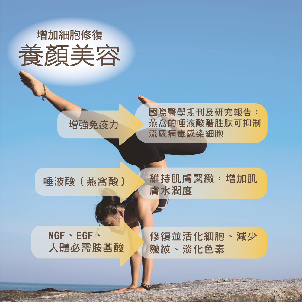 [BesoVida]燕珍長生官燕窩【6入禮盒組】_養顏/美容/營養/補給/孕期/保養/健康/孕媽咪/銀髮族/燕窩酸, , large