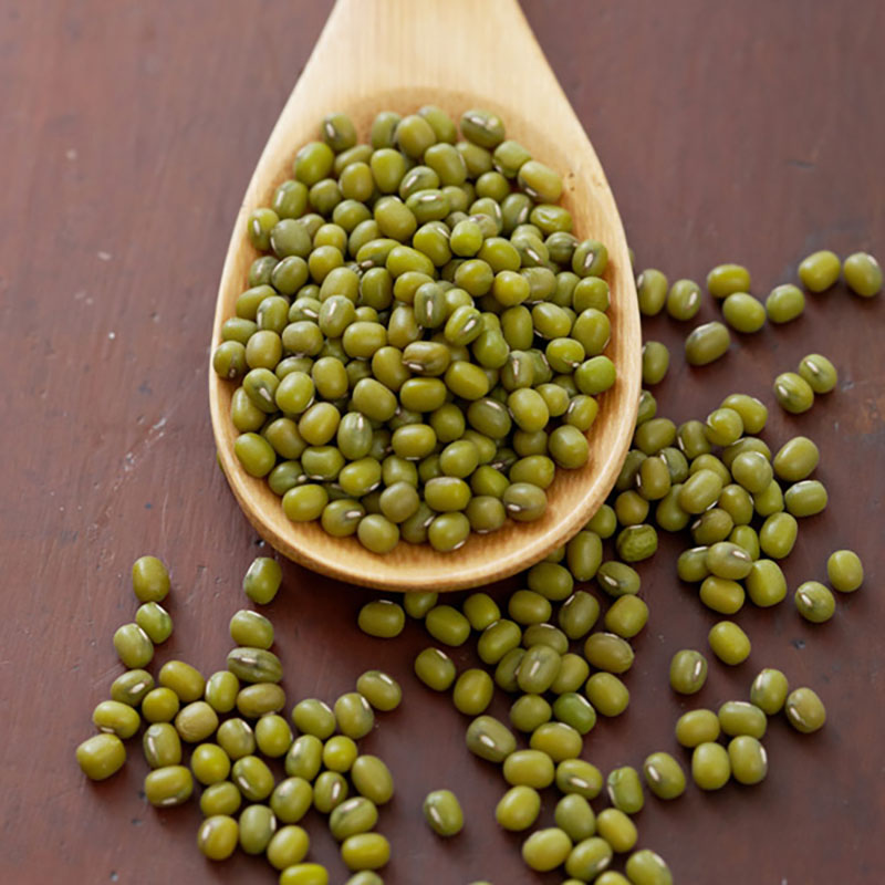 【米森 vilson】有機綠豆(450g/包), , large