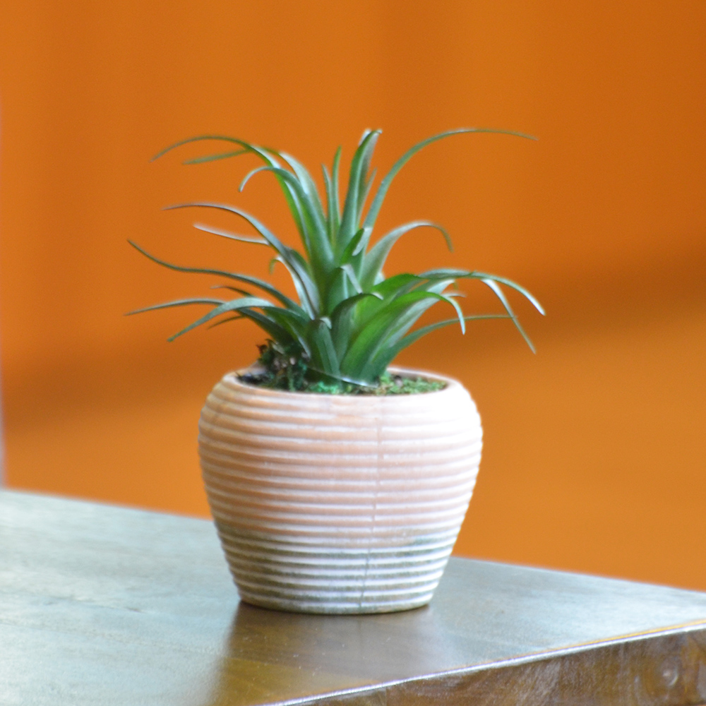 ARTIFICIAL PLANT W/POTTERY POT, , large