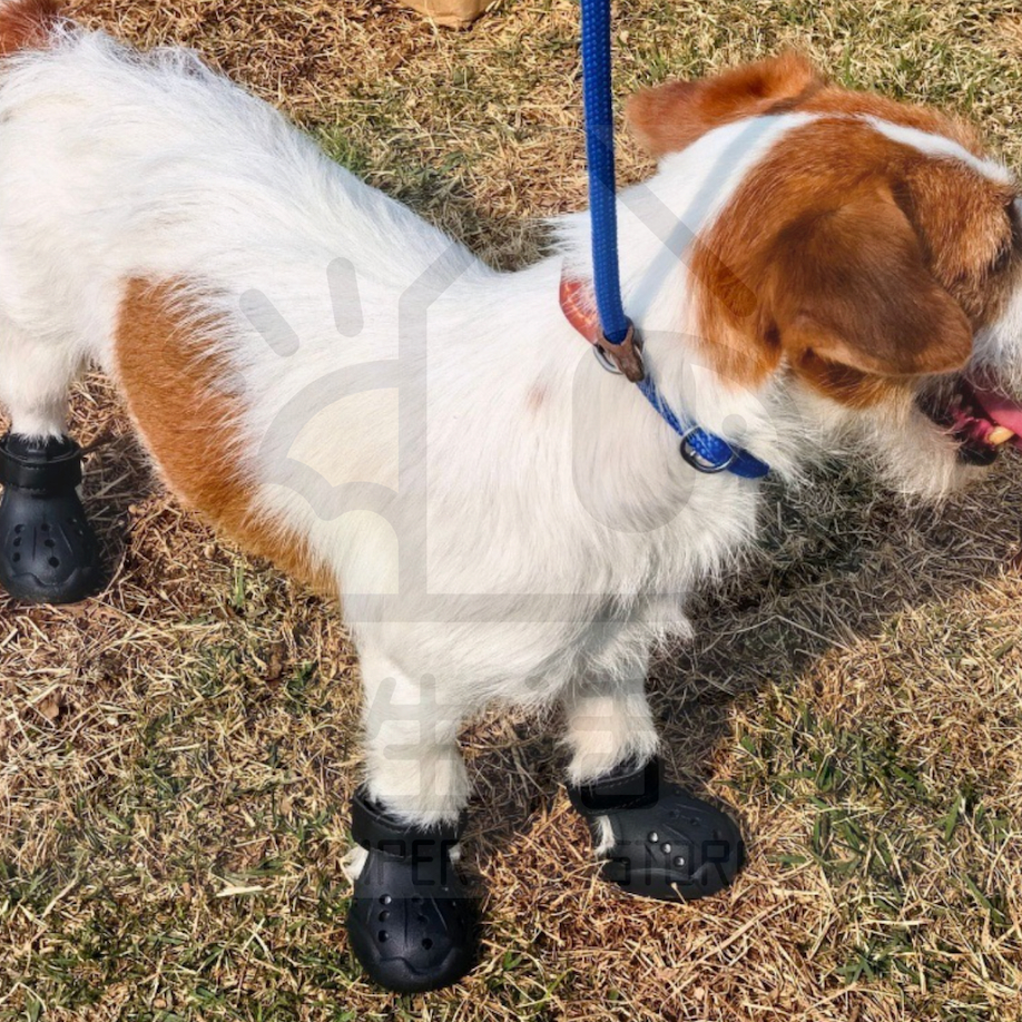 【寵愛生活本舖】寵物馬卡龍夏季洞洞鞋 狗涼鞋 狗鞋, , large