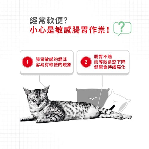 Royal Canin, , large