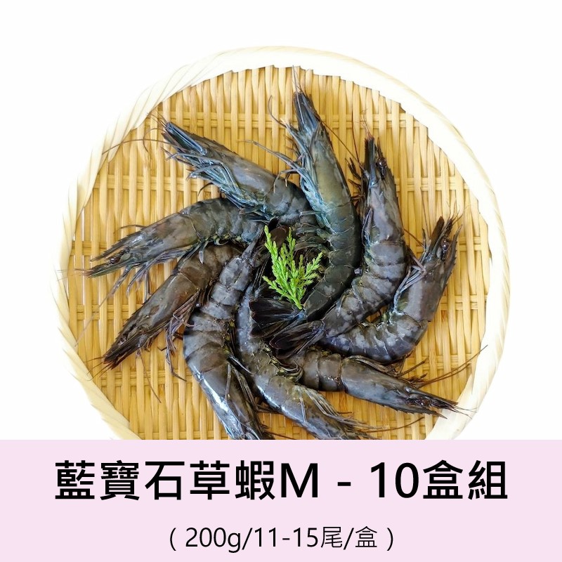 Penaeus monodon, , large