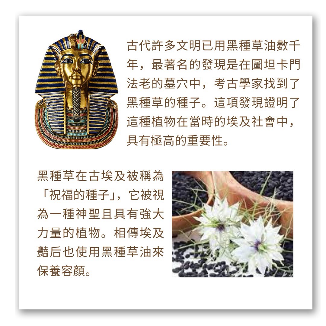 有機黑種草油*2, , large