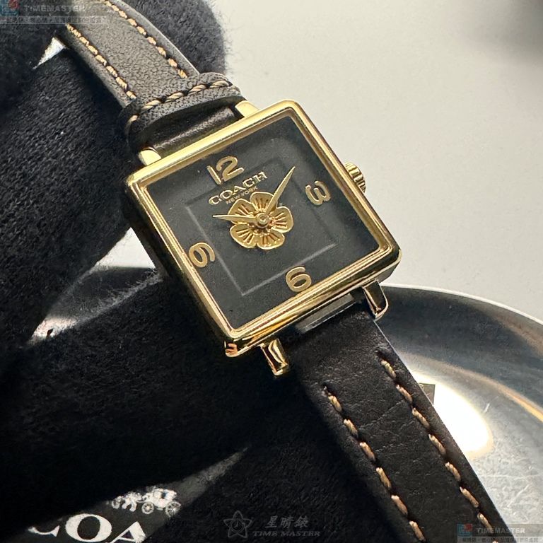 [TIMEMASTER] COACH watch, 22mm, CH00220, , large