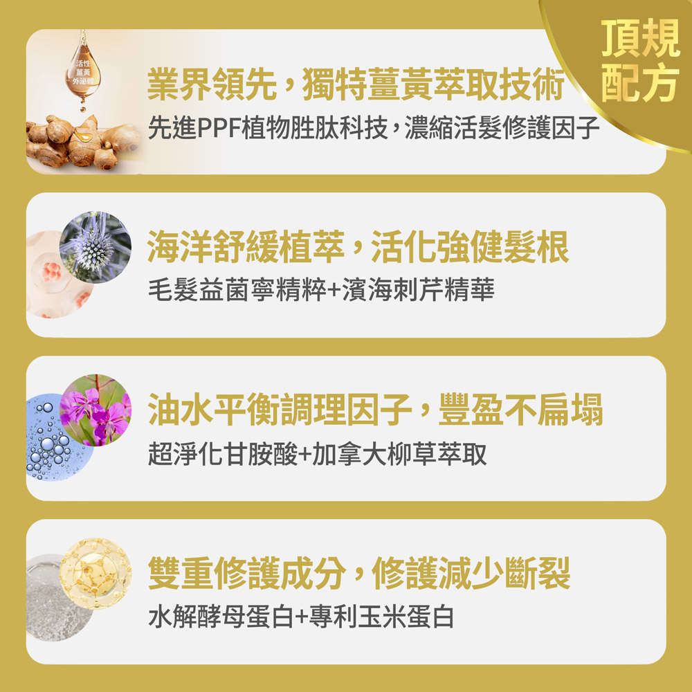 【FJ豐傑生醫】3D薑黃胜肽髮根活化洗髮精-250ml(強健髮根45天有感 胺基酸x無矽靈), , large