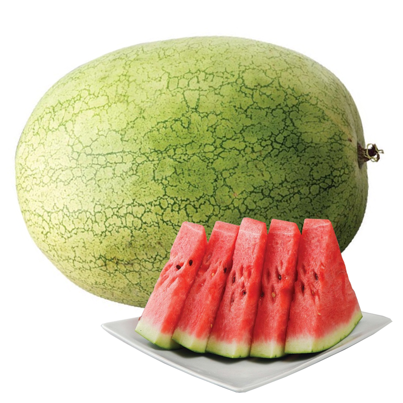 Big Watermelon