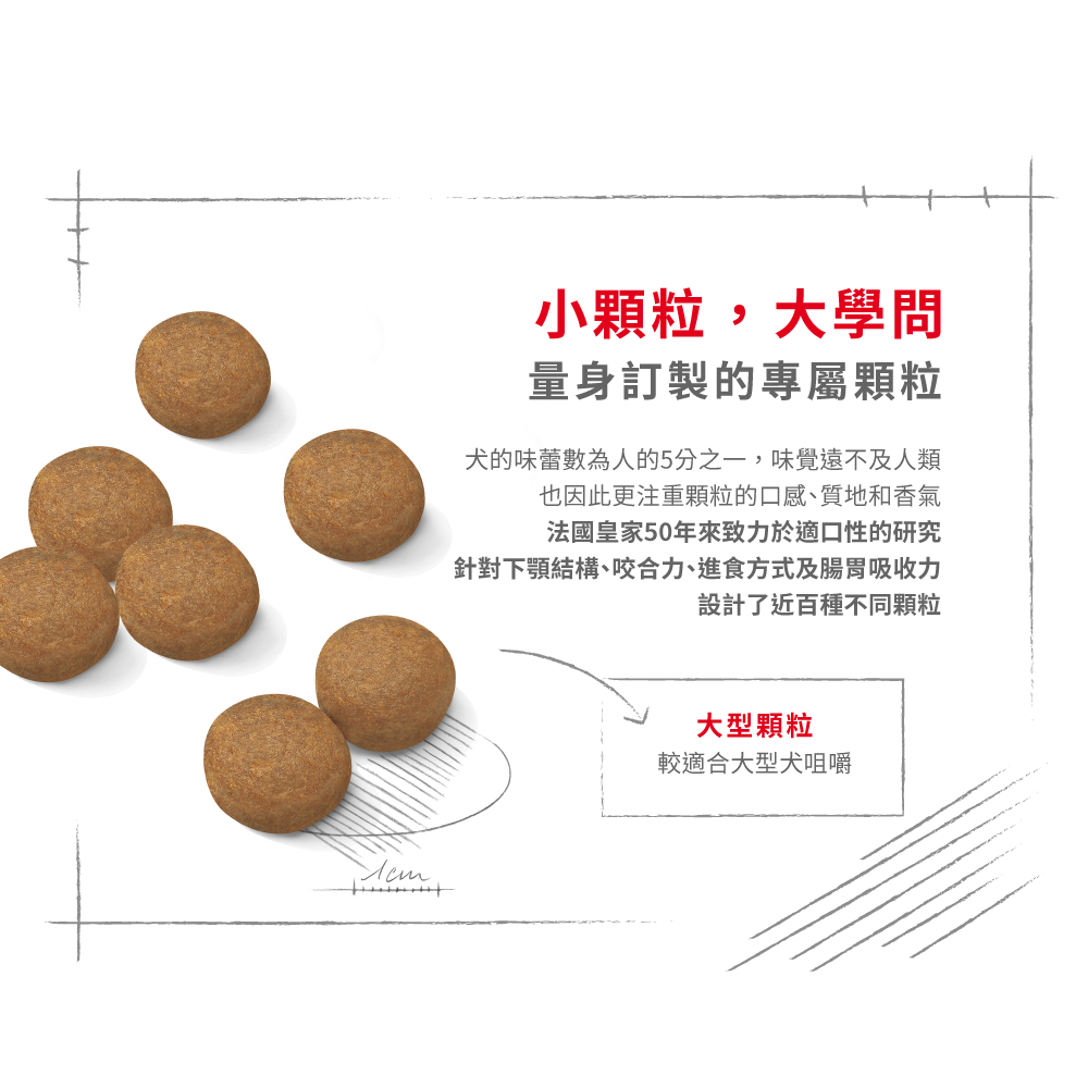 Royal Canin法國皇家 皇家大型成犬MXA, , large