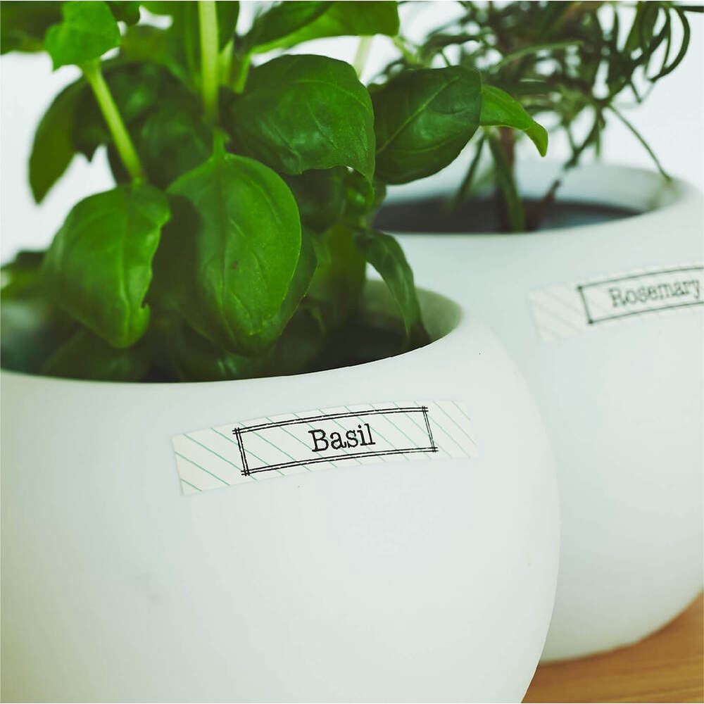 *需預訂【KING JIM】TEPRA LITE 熱感式標籤薄膜自黏膠帶 15mm金色(TPT15-015), , large