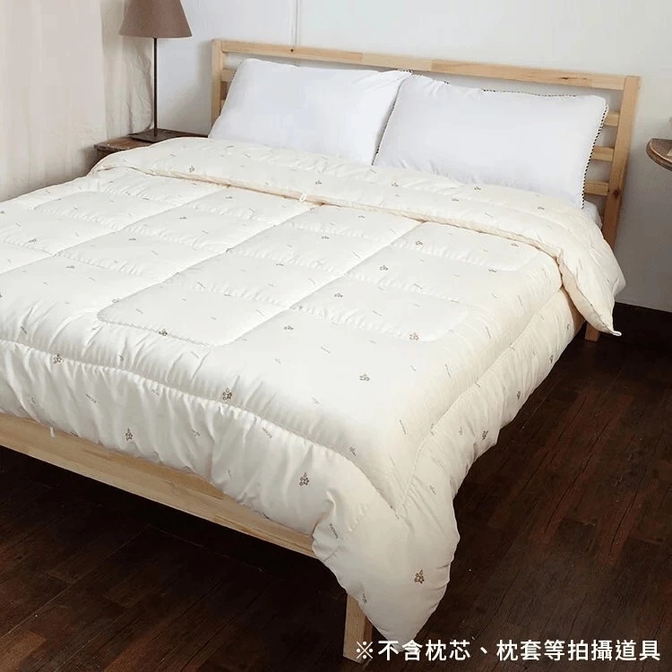 [CINN Official Store] Nano Far-Infrared Thermal Duvet Insert｜6 x 7 ft, , large