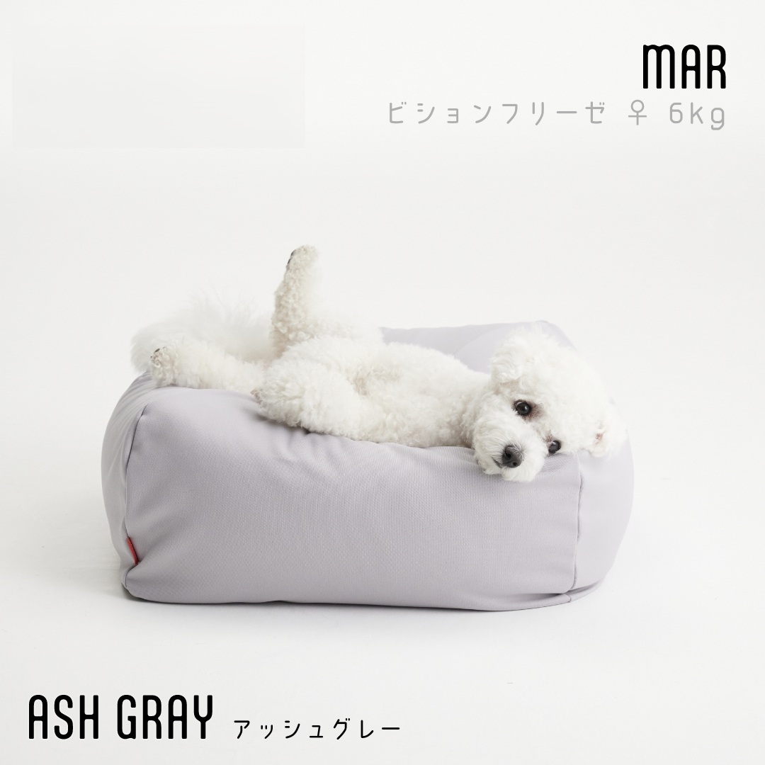 Bean bag for pet, , large