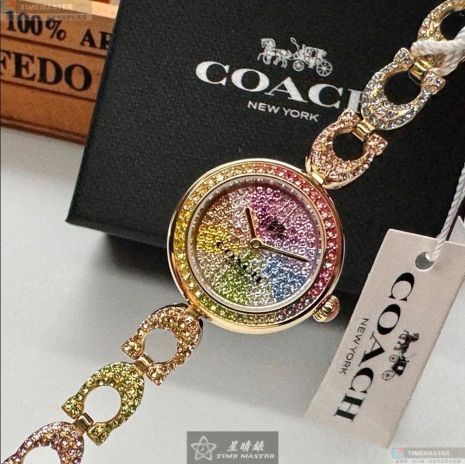 [TIMEMASTER] COACH watch, 24mm, CH00186, , large