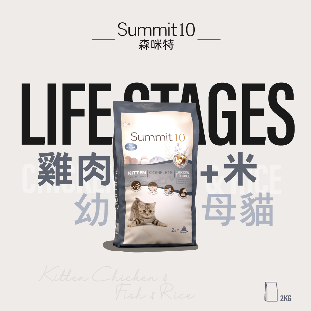 SUMMIT