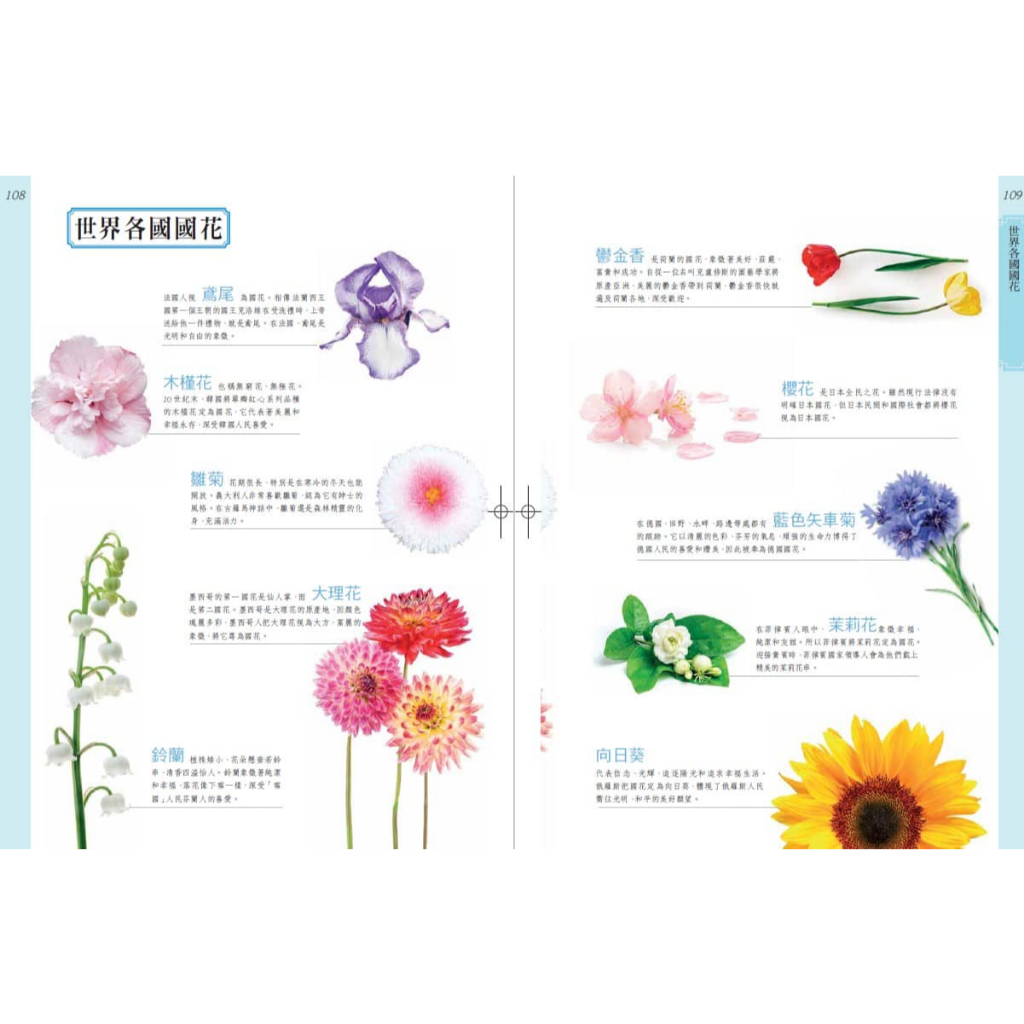 《南門書局》花百科 一巨冊~花卉.觀葉植物.多肉植物.觀果植物, , large