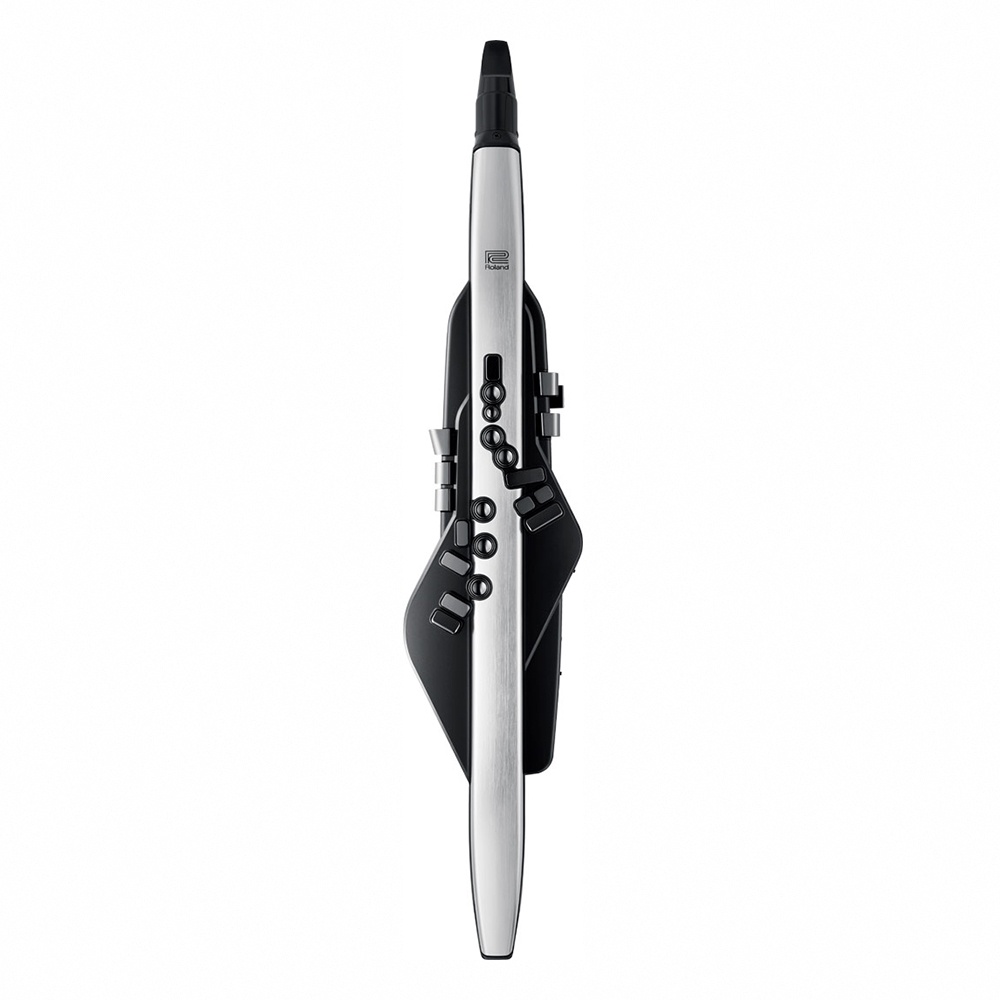 Roland AE-30 Aerophone Pro 數位吹管【敦煌樂器】, , large