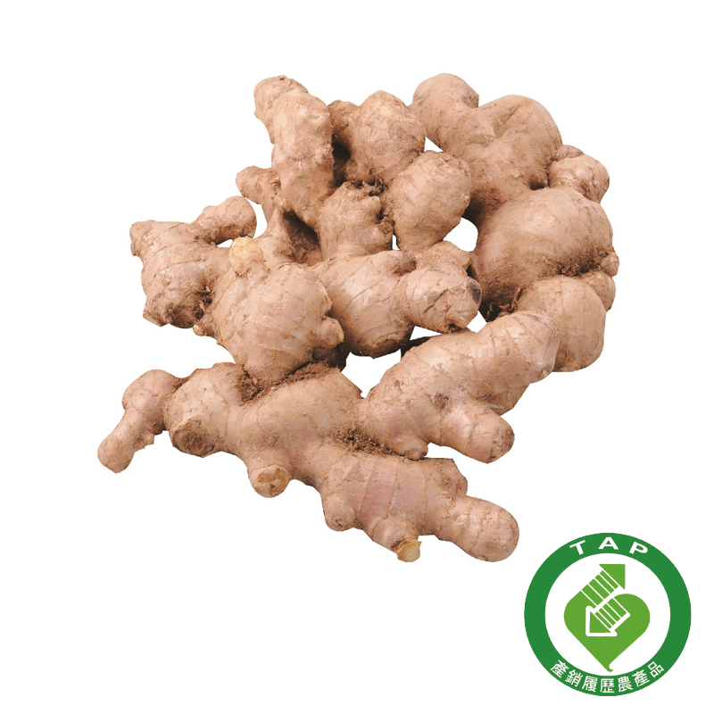 CFPLB Ginger Root