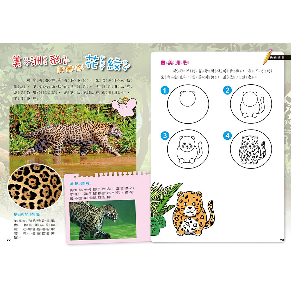 [小牛頓]PLAY&LEARN：雨林探險 適合5-8歲 平裝全彩 高階遊戲書, , large