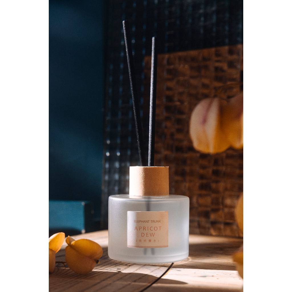 [冠岱]艾樂氛擴香瓶120ml 120毫升 擴香枝條 液體香薰 擴香棒 台灣製造, , large