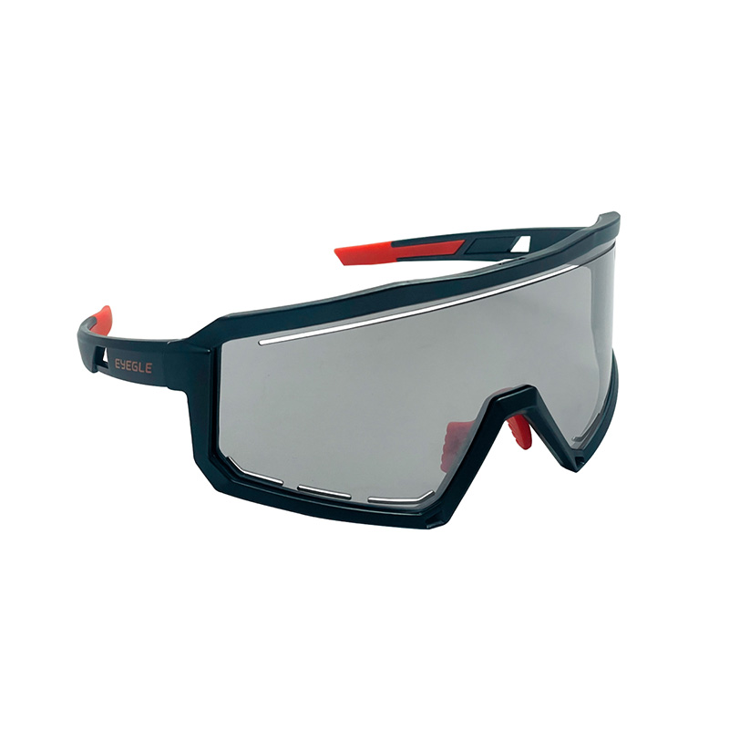 EYEGLE Viper Sunglasses EG-G009020 Black, 鋁漆黑, large