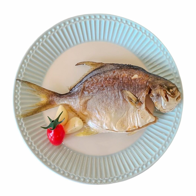 Snubnose Pompano, , large