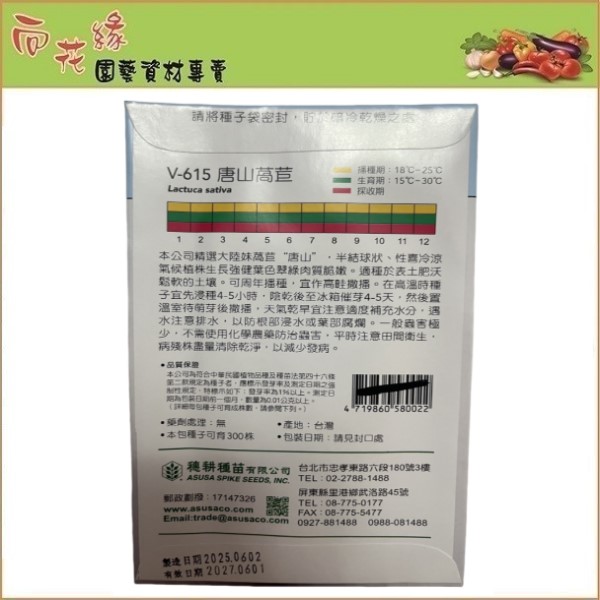 Skystar Semi-Head Lettuce &ndash; Vegetable Seeds, , large