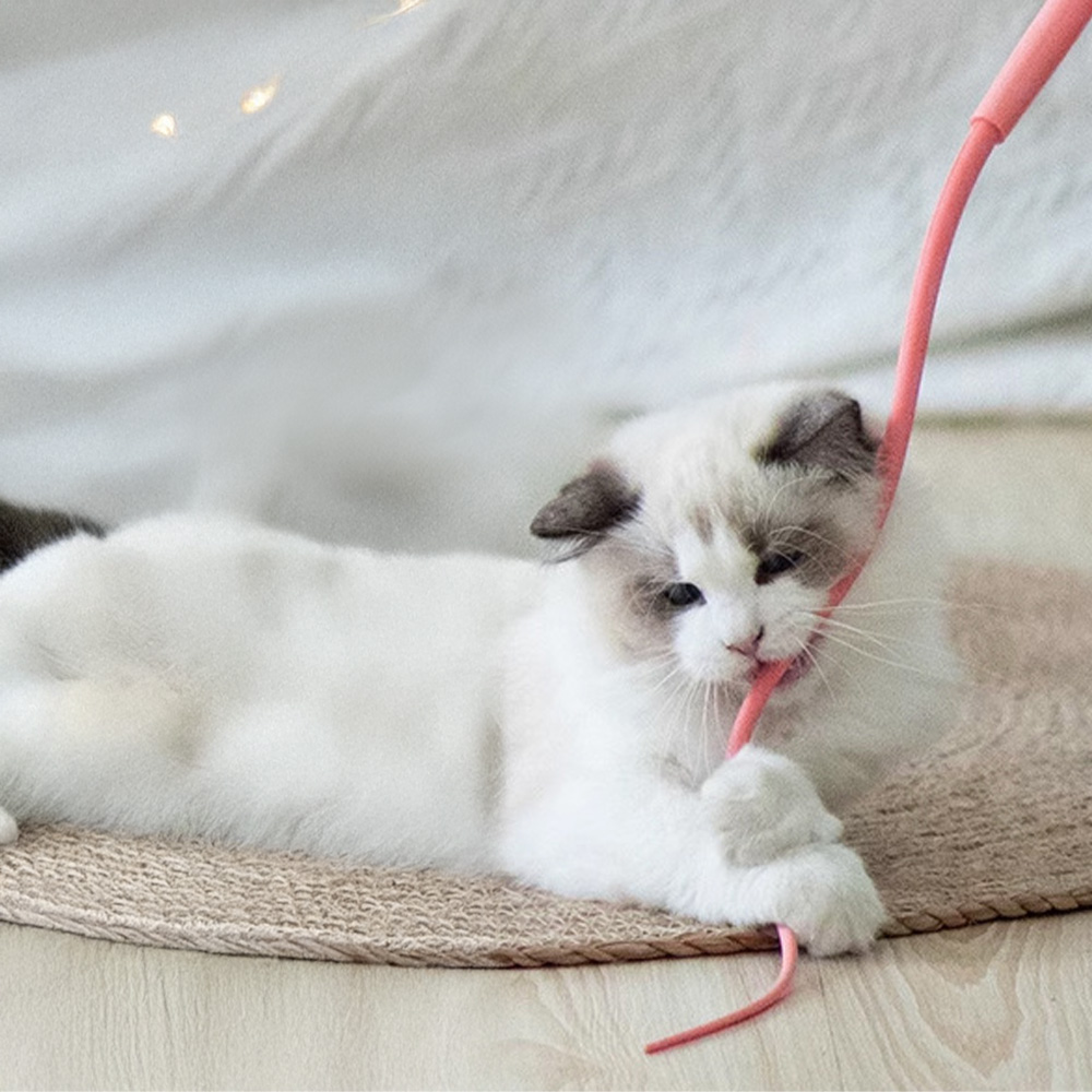 仿真老鼠尾吧逗貓棒【藍色/粉色】可加購替換條 逗貓棒 ABS材質 安全材質 貓玩具 寵物玩具 貓奴必備 鼠鼠尾巴逗貓棒 高韌性逗貓棒 仿真老鼠尾巴, , large