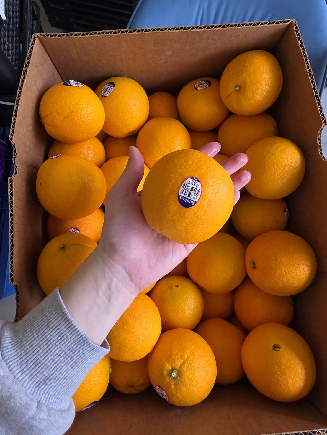 Navel Orange, , large