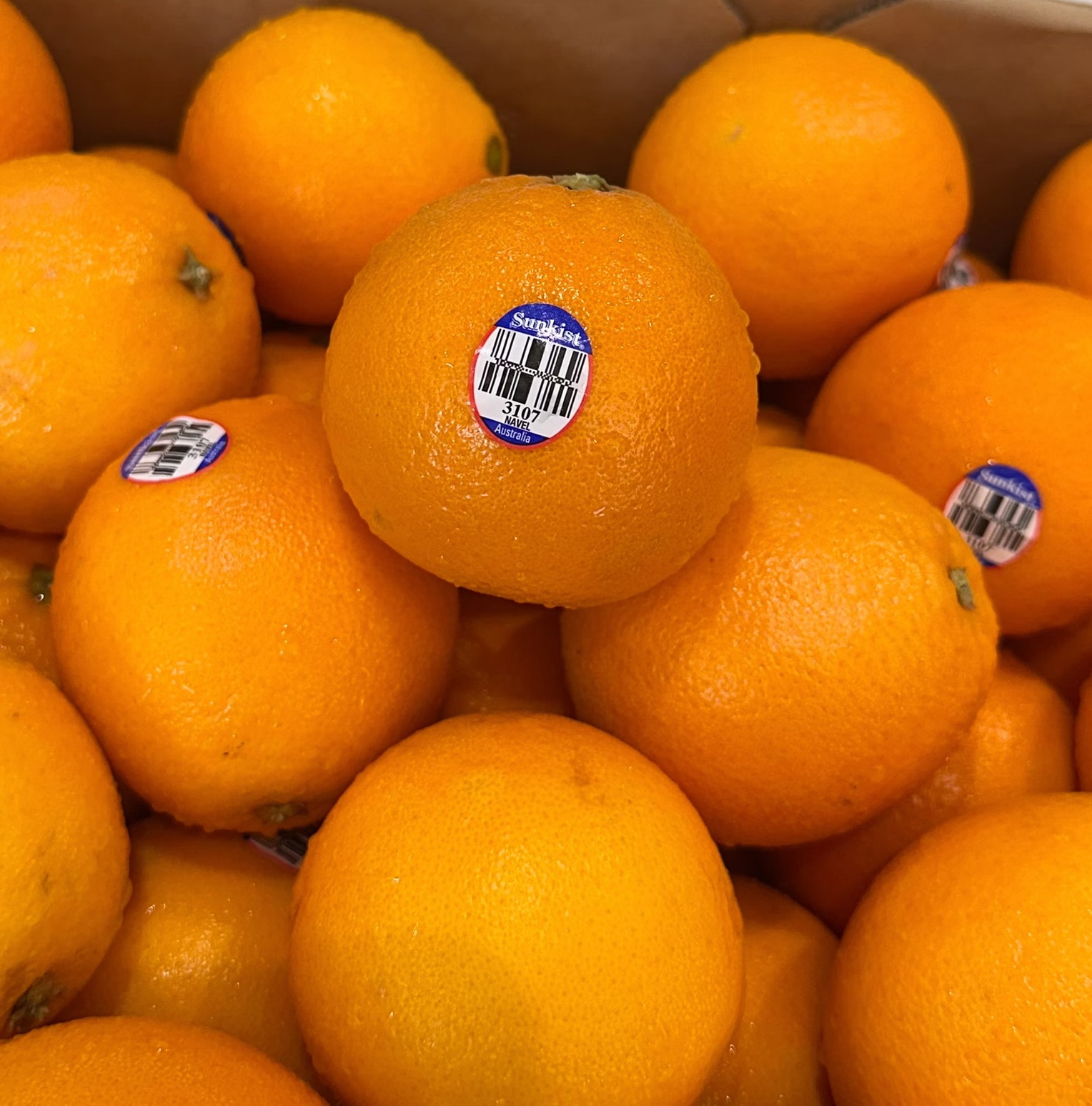 Navel Orange, , large