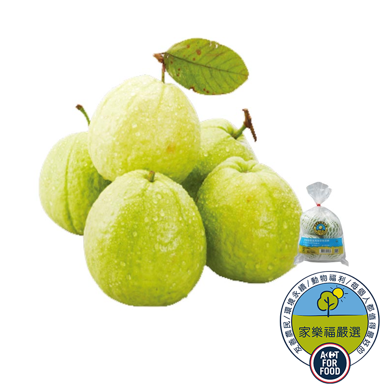 CQL Guava, , large