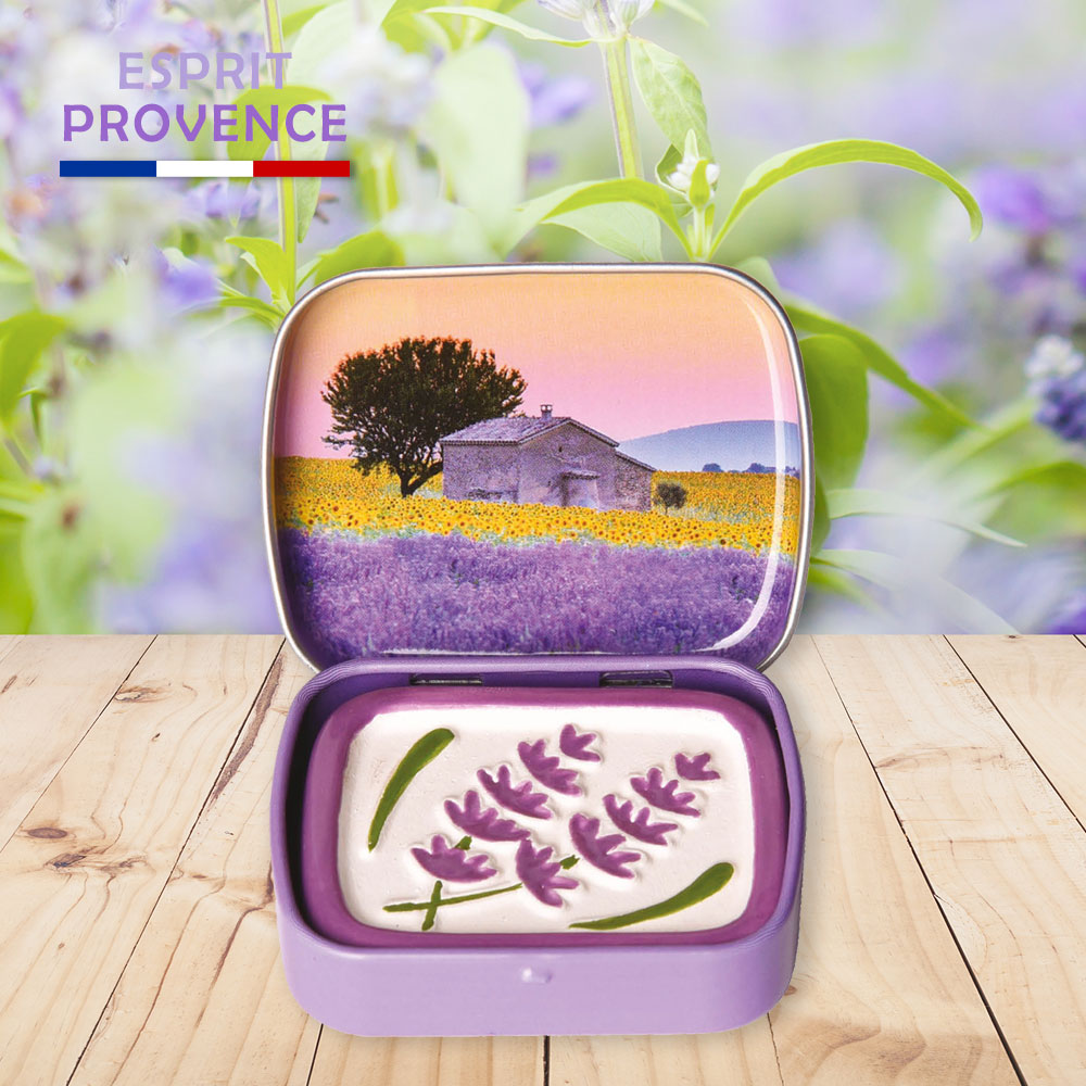 〔本野有限公司〕法國ESPRIT PROVENCE擴香石-TOU向日葵 -1入組, , large