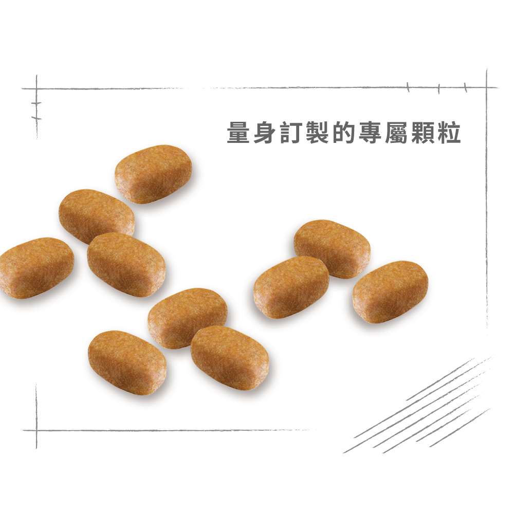 Royal Canin Maltese Adult MTA, , large