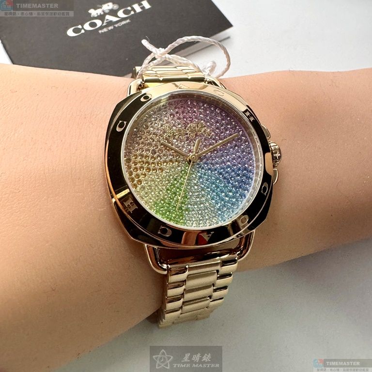 [TIMEMASTER] COACH watch, 34mm, CH00199, , large