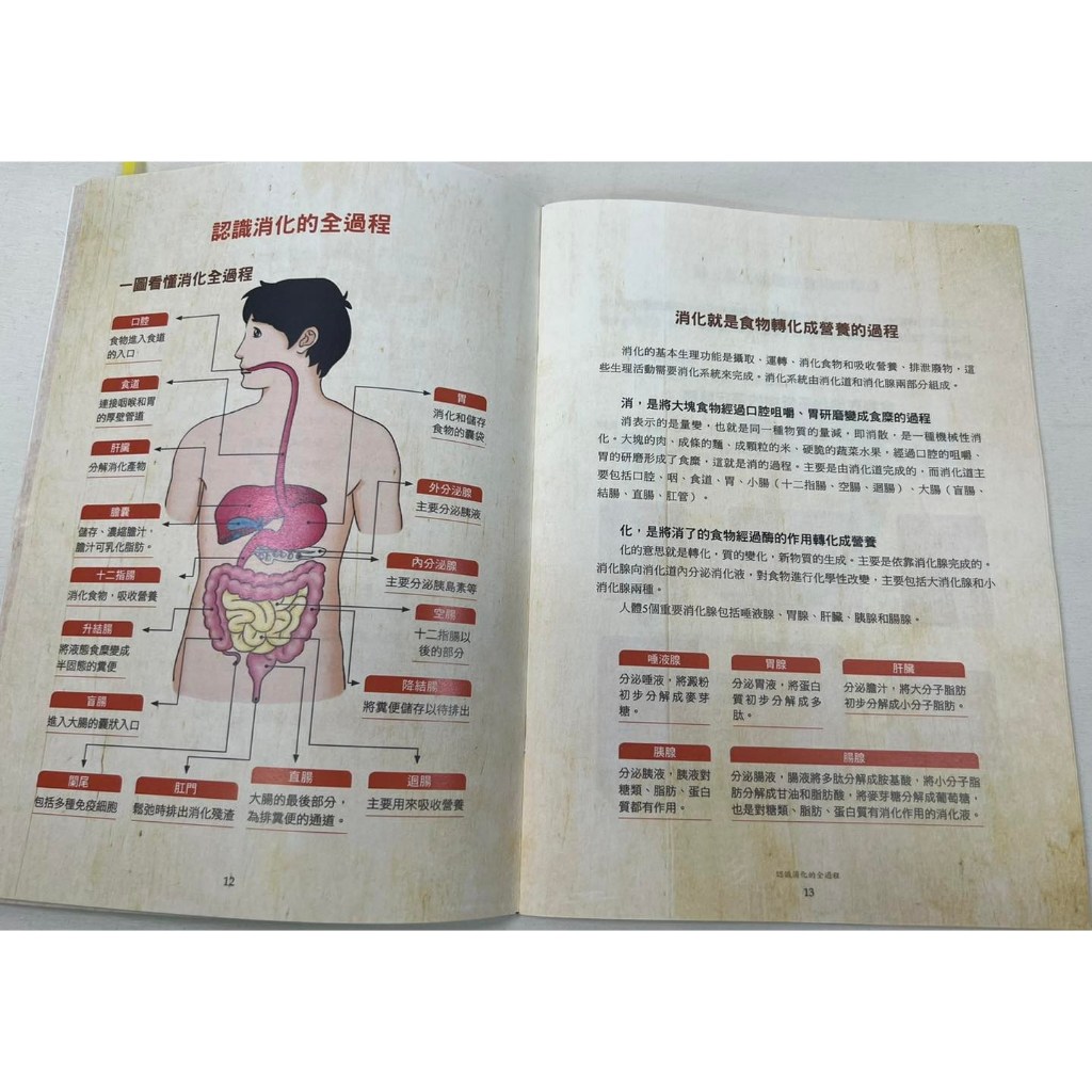 《南門書局》《消化好，活得好》1冊 定價350元 特價$245, , large